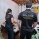 PF apreende adolescente suspeito de armazenar pornografia infantil no Piauí